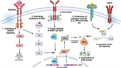 Molecular biomarkers of leukemia: convergence-based drug resistance mechanisms in chronic myeloid leukemia and myeloproliferative neoplasms